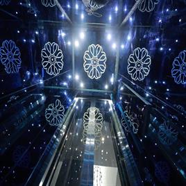 Luxury Blue Mirror Home Lift