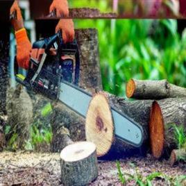 68 cc 22inch Petrol Chainsaw, 20 Inch