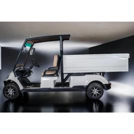 Saera U 100 2 Seater Cargo Golf Cart