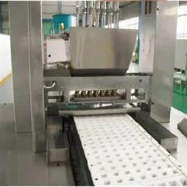 Fully Automatic Batasa Making Machine