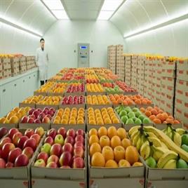 Fruits Ripening Chamber.