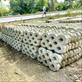 Grass Paver Block