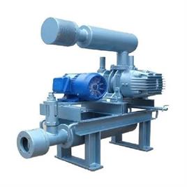 Twin Lobe Air  Blower