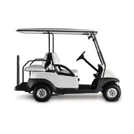 2 Seater Electric Golf Cart