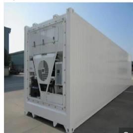20 Feet Refrigerated Container Rental Service