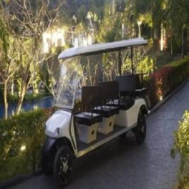 08-06 Golf Cart Rental 08 Seater in India