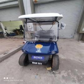 08-06-04 Buggy on hire - Rent, For Rental Service