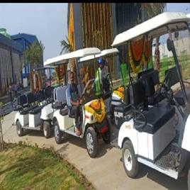 08-06-04 Buggy on hire - Rent, For Rental Service