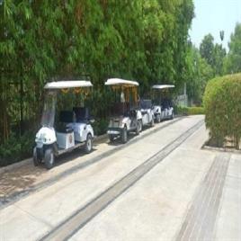 08-06-04 Buggy on hire - Rent, For Rental Service