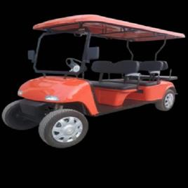 2 Seater Gasoline Golf Cart