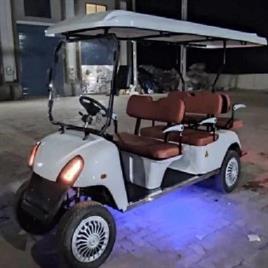 2 Seater Gasoline Golf Cart