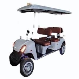 2 Seater Gasoline Golf Cart