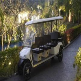 Battery Operated Golf Buggies
