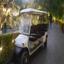 Battery Operated Golf Buggies