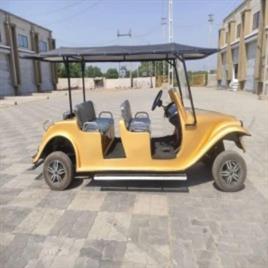 Electric Golf Cart Rental Services