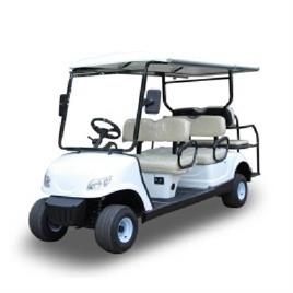 Electric Golf Cart Rental Services
