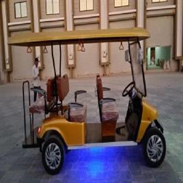 Golf Buggy Rental Services