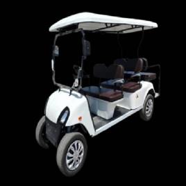 Golf Buggy Services