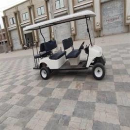 Golf Buggy Services