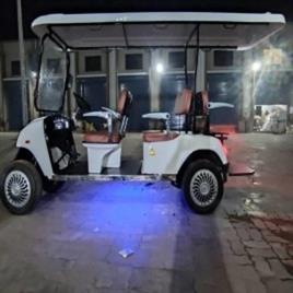 Golf Cart BUGGY