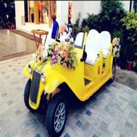 Golf Cart Hire Service