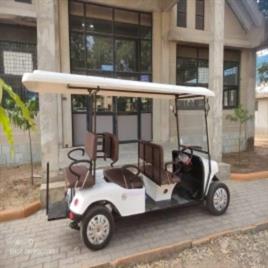 Golf Cart Rental Services