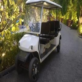 White Electric Sightseeing Bus