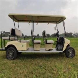 White Golf Cart Gujarat