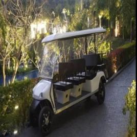 White Golf Cart Gujarat