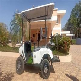 Yellow 2 Seater Electric Golf Cart