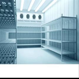 100 MT Stainless Steel Cold Storage Room
