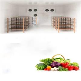 500 MT Stainless Steel Cold Storage Room