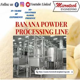Banana powder processing line