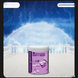 Asian Paints Smartcare Damp Proof Extreme, 20 L