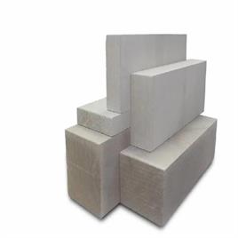 Fly ash bricks