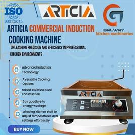 1900 W SILVER Articia Commercial Induction Cooker, For Restaurant, Model Name/Number: ART120512