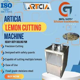ARTICIA  Lemon Cutting Machine
