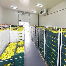 Solar Cold Storage