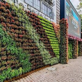 Vertical Gardening Services