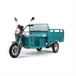 CELLETRON Battery Operated E Rickshaw Loader