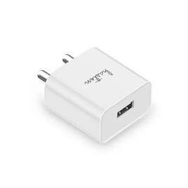 12 W 2.4A USB Mobile Phone Charger