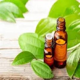 CINNAMON OIL