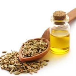 FENNEL SEED OIL