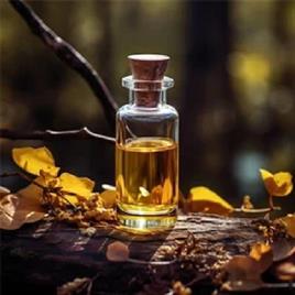 BABUCHI SEED OIL