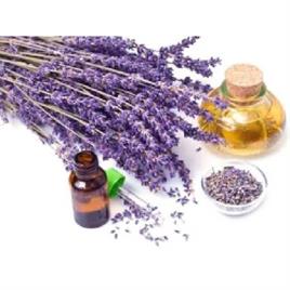 LAVENDRA OIL