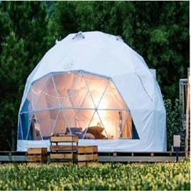 Geodesic Dome Structure