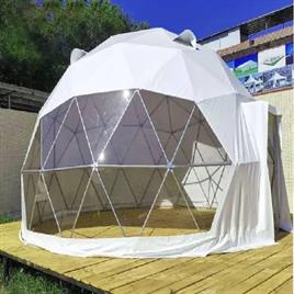 Geodesic Dome Structure