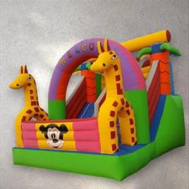 Dear Shape Inflatables Bouncy Castle