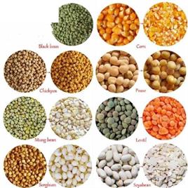 Semi-Automatic MINI DAL MILL, Single Phase, 200 KG