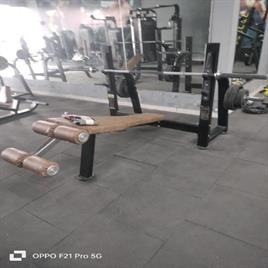 Olympic Decline Bench